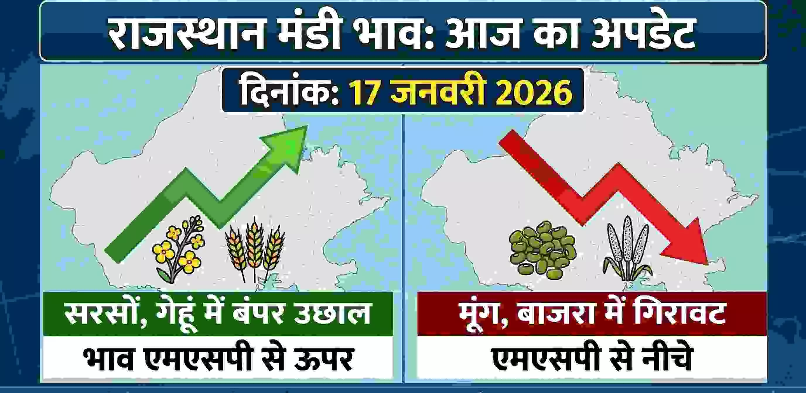 Rajasthan market prices: Mustard and wheat broke records, bringing farmers silver Rajasthan market prices: Mustard and wheat broke records, bringing farmers silver
