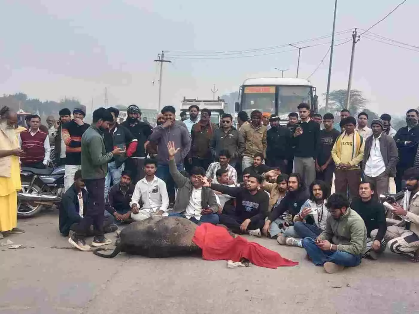 भुसावर में आस्था का सैलाब: 11 मन सामग्री के अन्नकूट और माता के जयकारों से गुंजायमान हुआ पूरा कस्बा