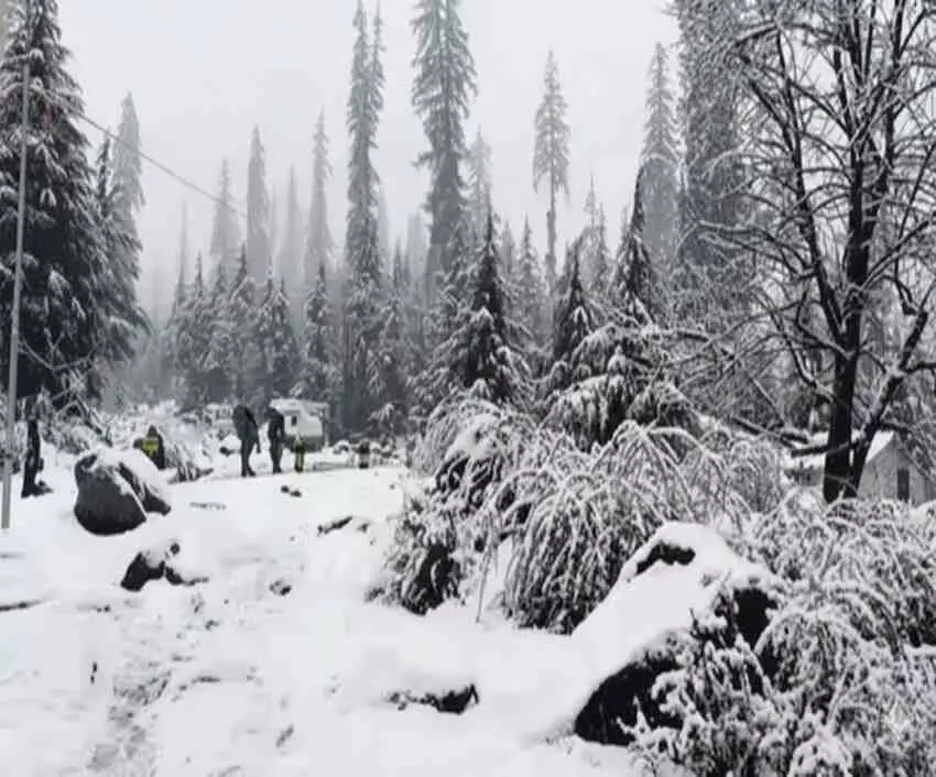 Winter strikes North India with a savage force.