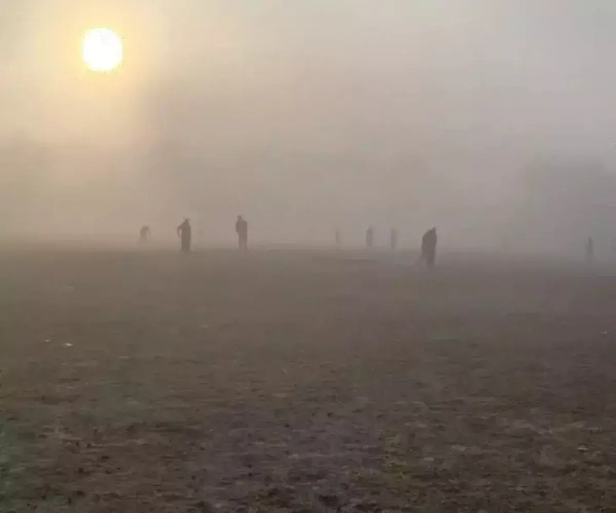 Cold wave wreaks havoc: North India in the grip of icy winds
