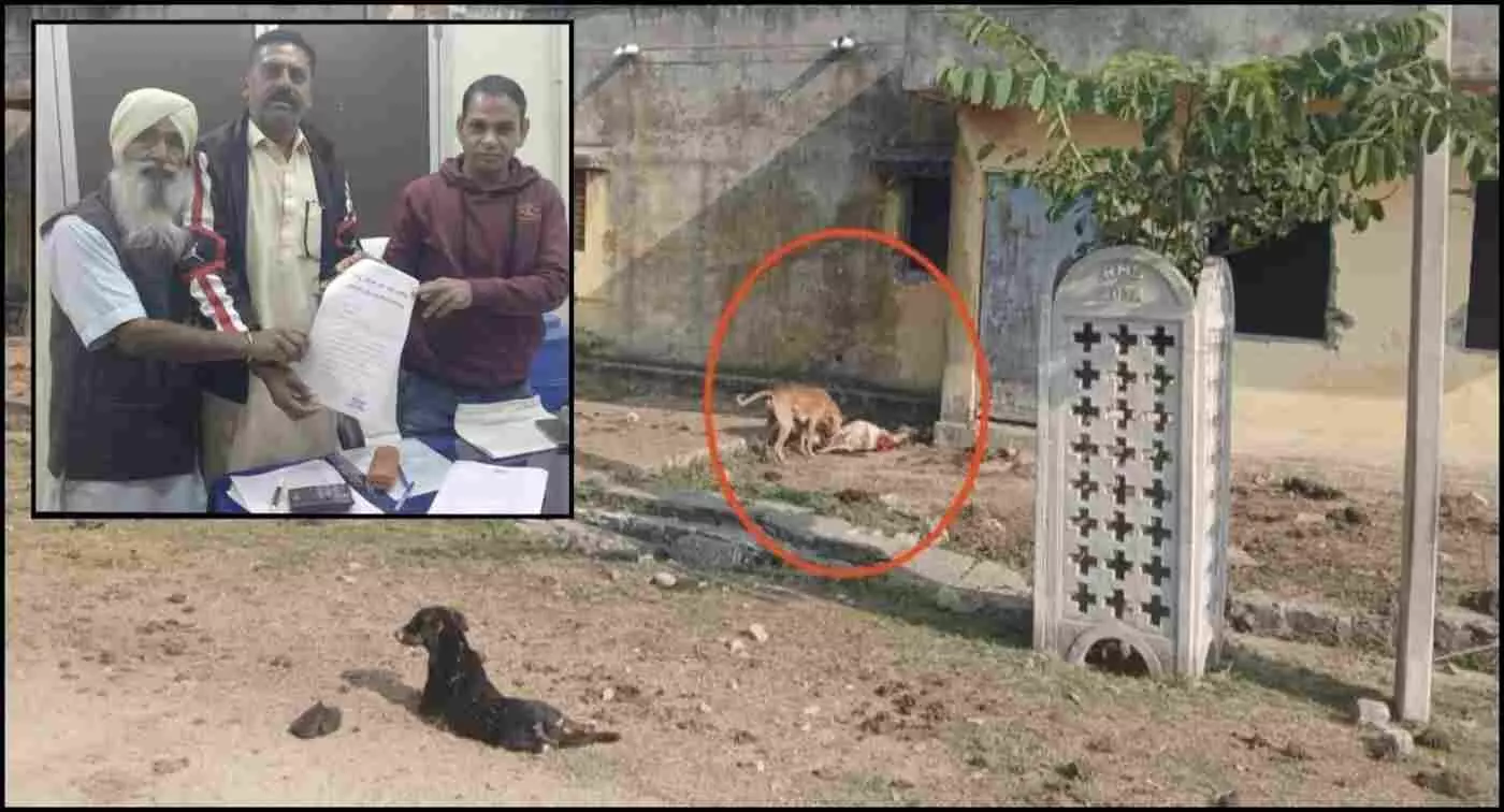 बारां में आवारा कुत्तों का खूनी आतंक: मासूम बछड़े को उतारा मौत के घाट, दहशत में कॉलोनीवासी बारां में आवारा कुत्तों का खूनी आतंक: मासूम बछड़े को उतारा मौत के घाट, दहशत में कॉलोनीवासी