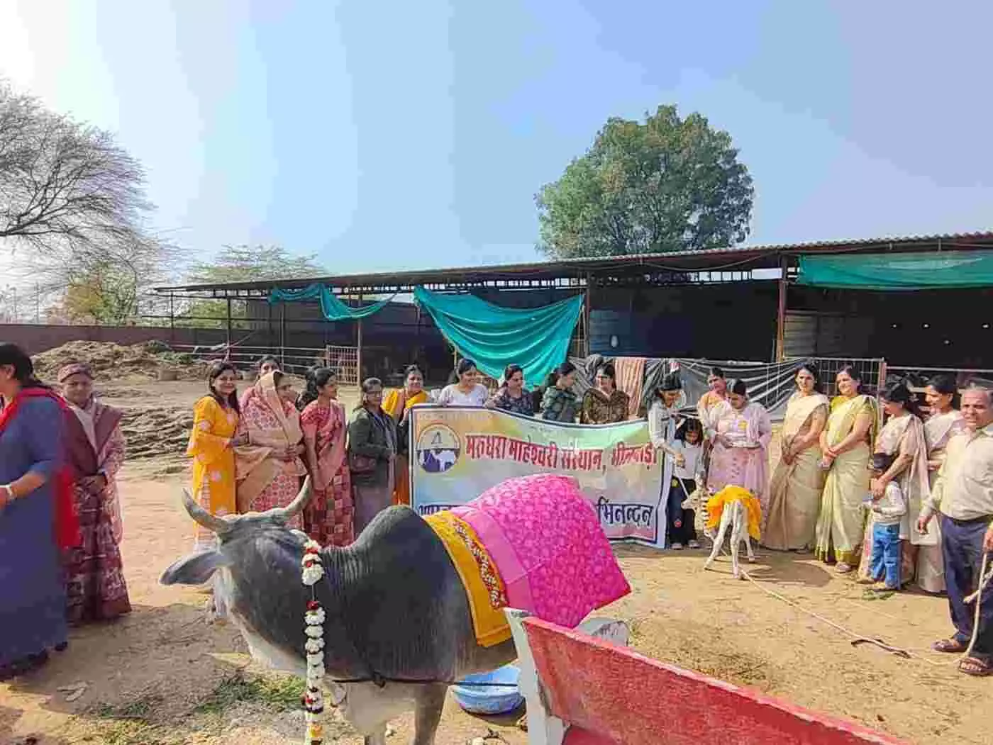 भीलवाड़ा में मरुधरा माहेश्वरी संस्थान ने पेश की मिसाल: गौ सेवा और पारंपरिक खेलों के साथ जीवंत हुई मकर संक्रांति की सांस्कृतिक विरासत भीलवाड़ा में मरुधरा माहेश्वरी संस्थान ने पेश की मिसाल: गौ सेवा और पारंपरिक खेलों के साथ जीवंत हुई मकर संक्रांति की सांस्कृतिक विरासत