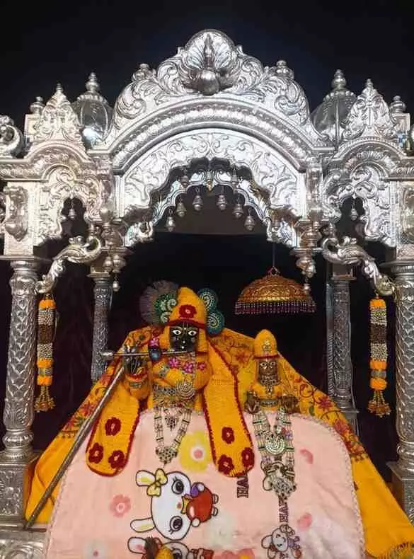 भीलवाड़ा में साक्षात चमत्कार: जहां भक्त की पुकार पर प्रभु पीते हैं दूध, 472 साल पुराने दूधाधारी गोपाल मंदिर का भव्य पाटोत्सव आज