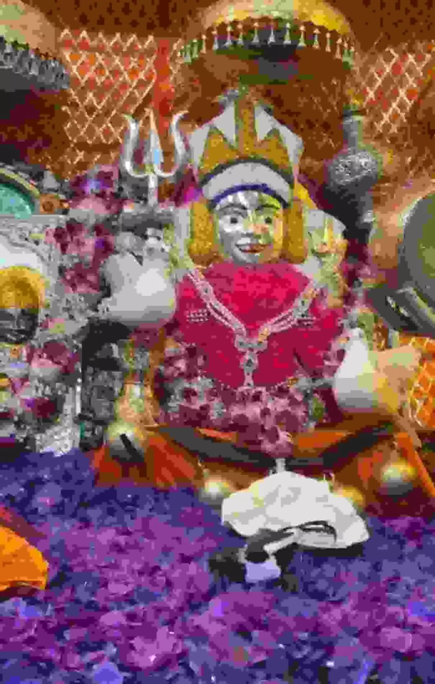 राजसमंद के अमरतीया में गूँजी देवनारायण भगवान की जयकार: जालनाथ भेरूजी मंदिर में उमड़ा आस्था का सैलाब, भक्ति संध्या में झूमे प्रवासी भक्त