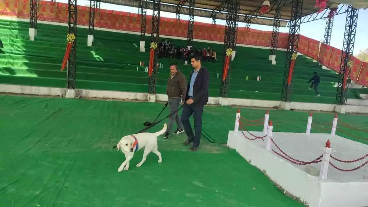 चित्तौड़गढ़ में गणतंत्र का शंखनाद: मंत्री गौतम दक फहराएंगे तिरंगा, सुरक्षा की कमान अब नन्हीं लुभना के हाथ