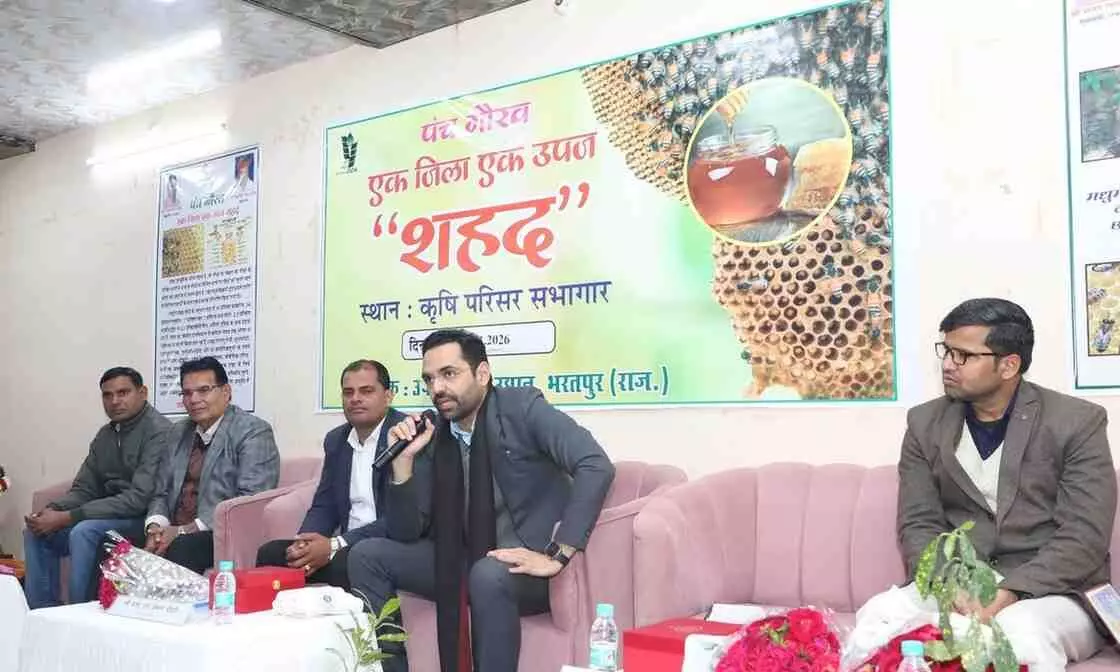 कृषि सभागार भरतपुर में जिला कलक्टर कमर चौधरी मधुमक्खी पालक किसानों की कार्यशाला को संबोधित करते हुए। कृषि सभागार भरतपुर में जिला कलक्टर कमर चौधरी मधुमक्खी पालक किसानों की कार्यशाला को संबोधित करते हुए।