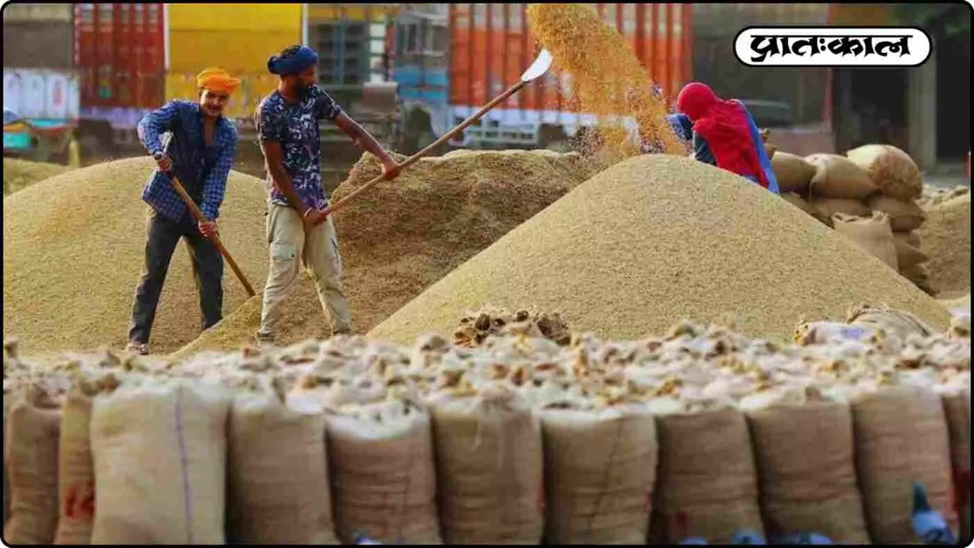 MSP में बड़ी बढ़ोतरी: गेहूं और सरसों समेत रबी फसलों के दाम बढ़े; Madhya Pradesh के  किसानों को मिलेगा बम्पर मुनाफा