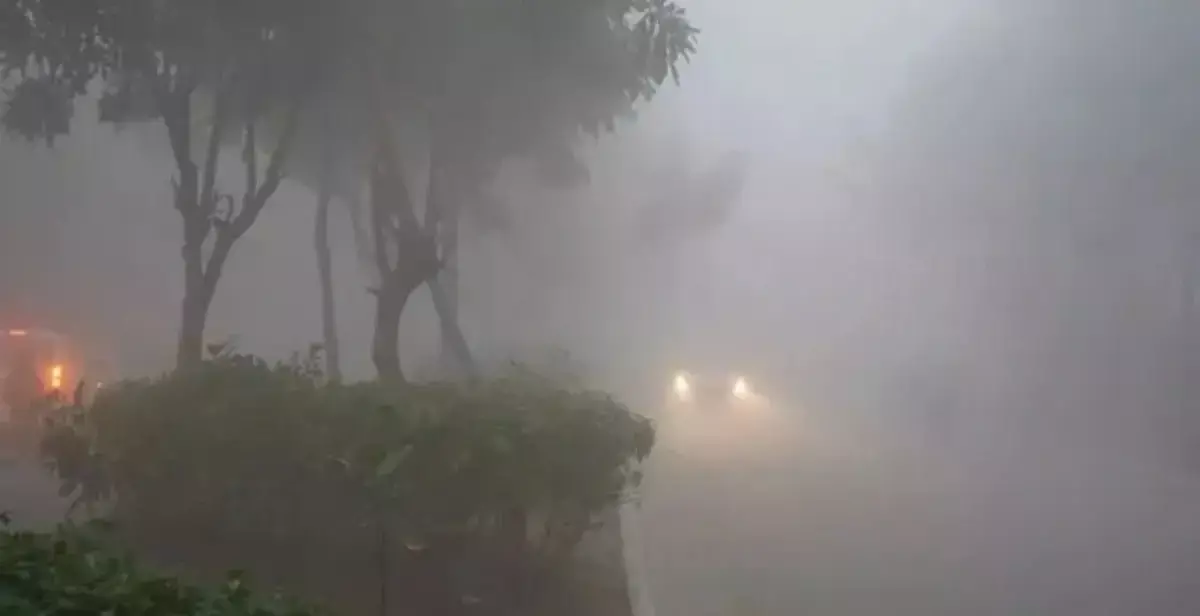 Snowfall, fog, and chilly winds: Is North India ready for the freezing cold Snowfall, fog, and chilly winds: Is North India ready for the freezing cold