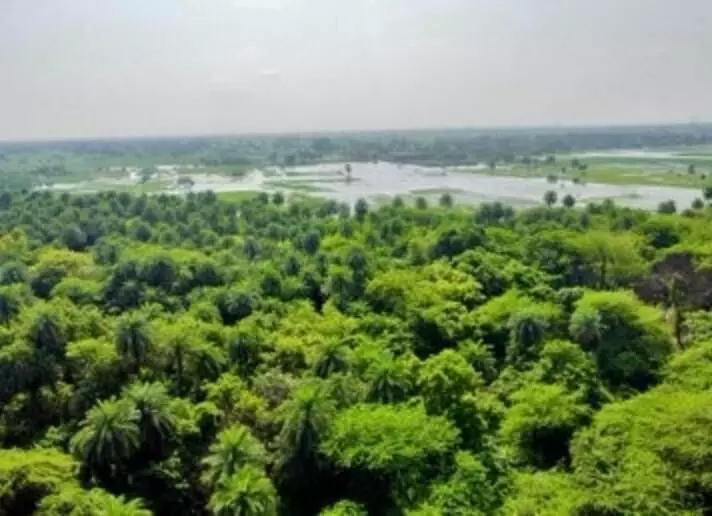Nearing 100 Ramsar sites, the count now stands at 98 Nearing 100 Ramsar sites, the count now stands at 98