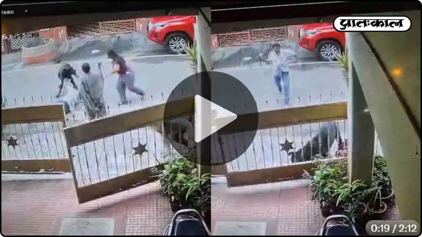 बेंगलुरु के HSR लेआउट में खौफनाक वारदात: पड़ोसी के ग्रेट डेन ने महिला को बुरी तरह नोचा; शरीर पर आए 50 टांके बेंगलुरु के HSR लेआउट में खौफनाक वारदात: पड़ोसी के ग्रेट डेन ने महिला को बुरी तरह नोचा; शरीर पर आए 50 टांके