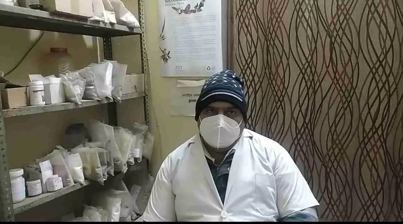 भुसावर के बगीचे में औषधीय खेती के बीच खड़ा ऐतिहासिक हर्ड का विशाल वृक्ष। भुसावर के बगीचे में औषधीय खेती के बीच खड़ा ऐतिहासिक हर्ड का विशाल वृक्ष।