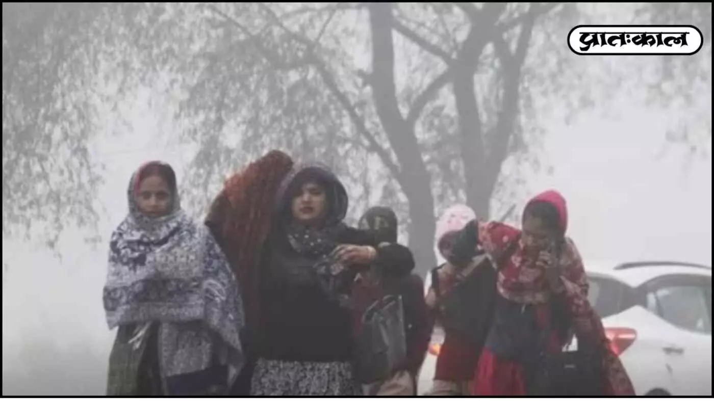 Mangrol में मौसम का मिजाज: गुलाबी ठंड और मॉडरेट AQI के बीच सामान्य जनजीवन; फसलों के लिए वरदान साबित हो सकती है नमी Mangrol में मौसम का मिजाज: गुलाबी ठंड और मॉडरेट AQI के बीच सामान्य जनजीवन; फसलों के लिए वरदान साबित हो सकती है नमी