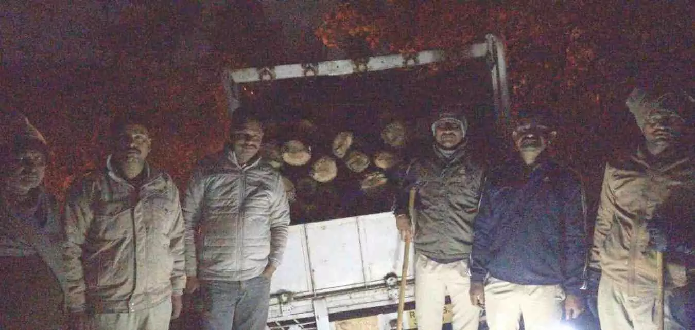 लसाडिया के लालापुरा नाके पर वन विभाग द्वारा पकड़ी गई अवैध लकड़ी और खड़ी पिकअप का दृश्य।