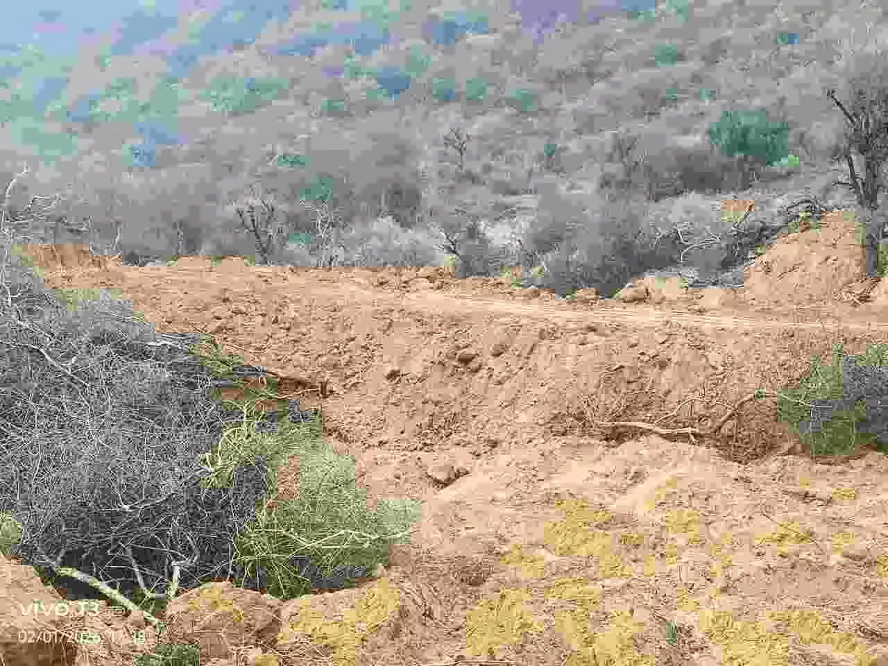 बयाना के नया नगला गांव में अवैध रूप से काटे गए पेड़ों के ठूंठ और जांच करते अधिकारी। बयाना के नया नगला गांव में अवैध रूप से काटे गए पेड़ों के ठूंठ और जांच करते अधिकारी।