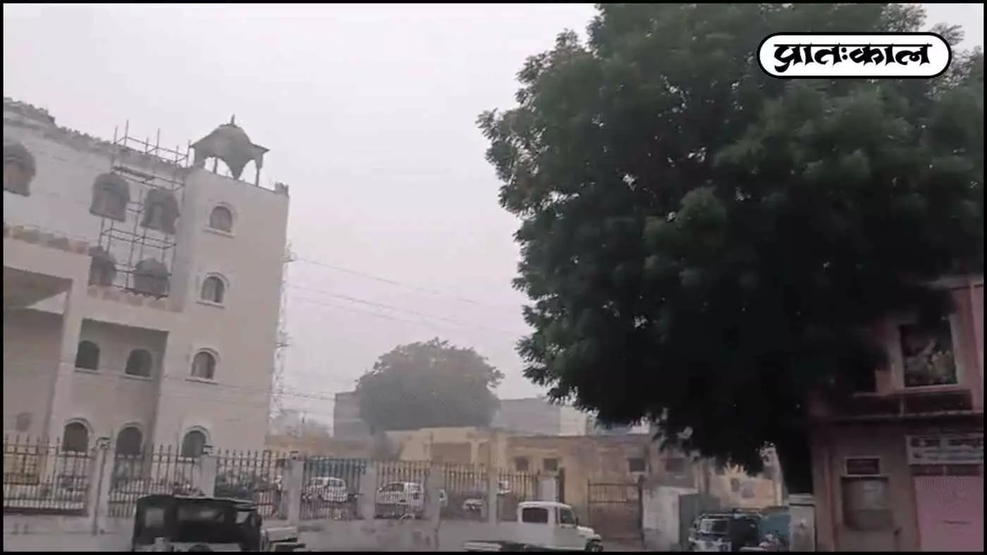 Udaipur के विद्यापीठ क्षेत्र में खिली धूप; 23°C तापमान के साथ बदला मौसम, पर AQI ने बढ़ाई चिंता Udaipur के विद्यापीठ क्षेत्र में खिली धूप; 23°C तापमान के साथ बदला मौसम, पर AQI ने बढ़ाई चिंता
