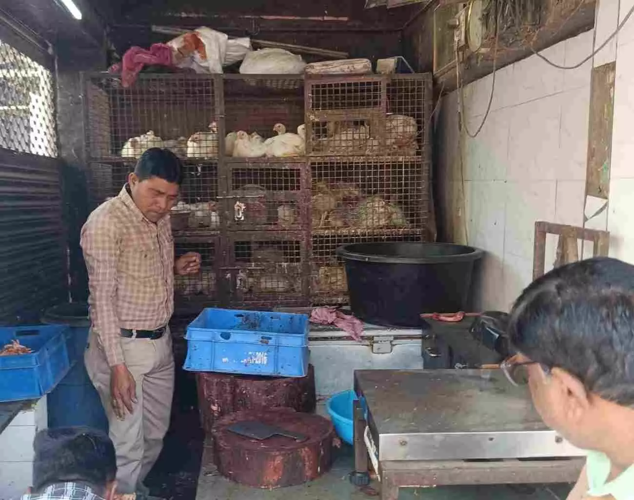 जयपुर के साँगानेर स्थित कागजी मोहल्ले में नगर निगम टीम द्वारा अवैध मीट दुकानों को सीज करने की प्रक्रिया।