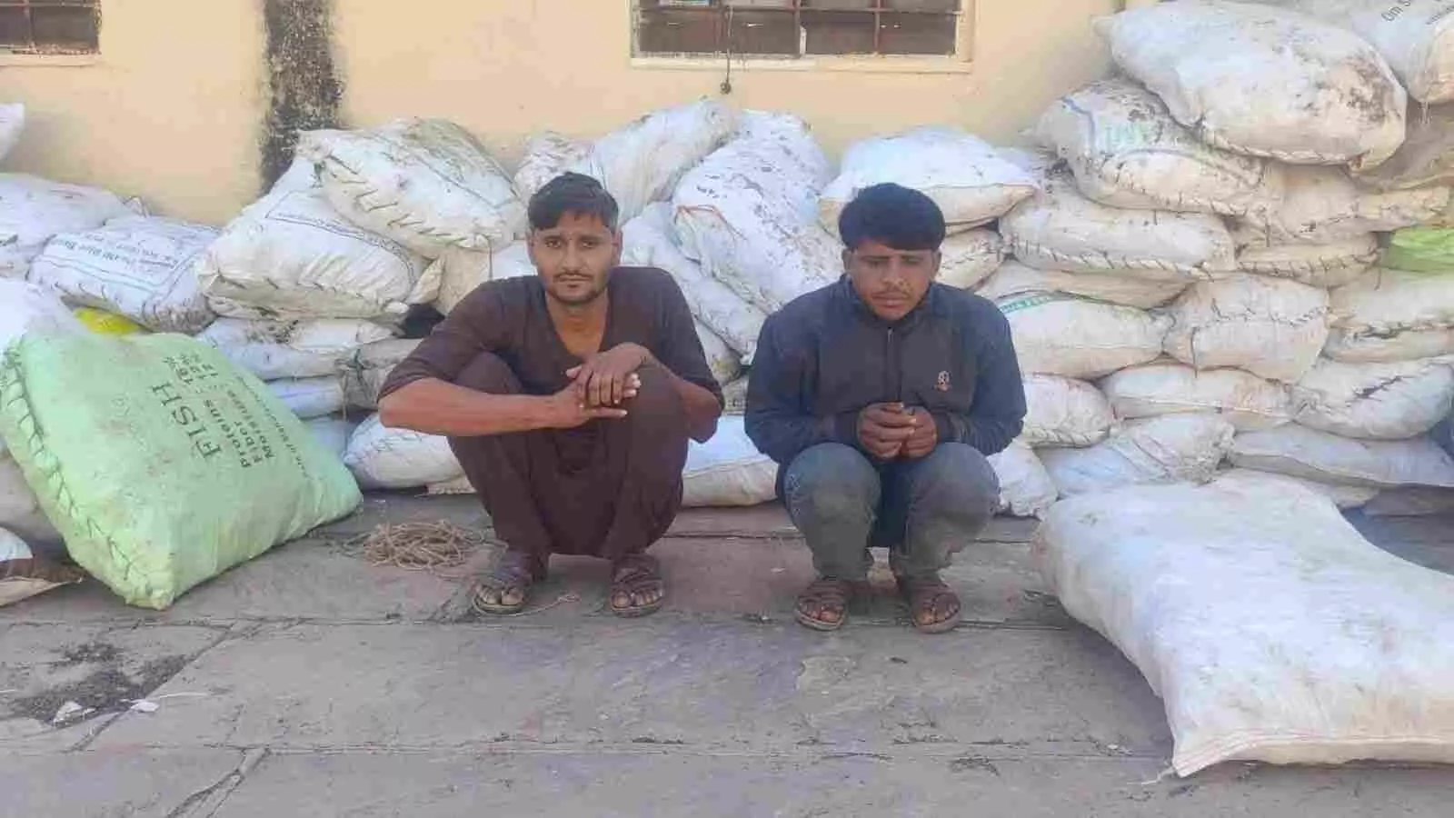 करौली के धौरेरा गांव में पुलिस टीम सरसों के खेत से जब्त अफीम के पौधों के साथ खड़ी है। करौली के धौरेरा गांव में पुलिस टीम सरसों के खेत से जब्त अफीम के पौधों के साथ खड़ी है।