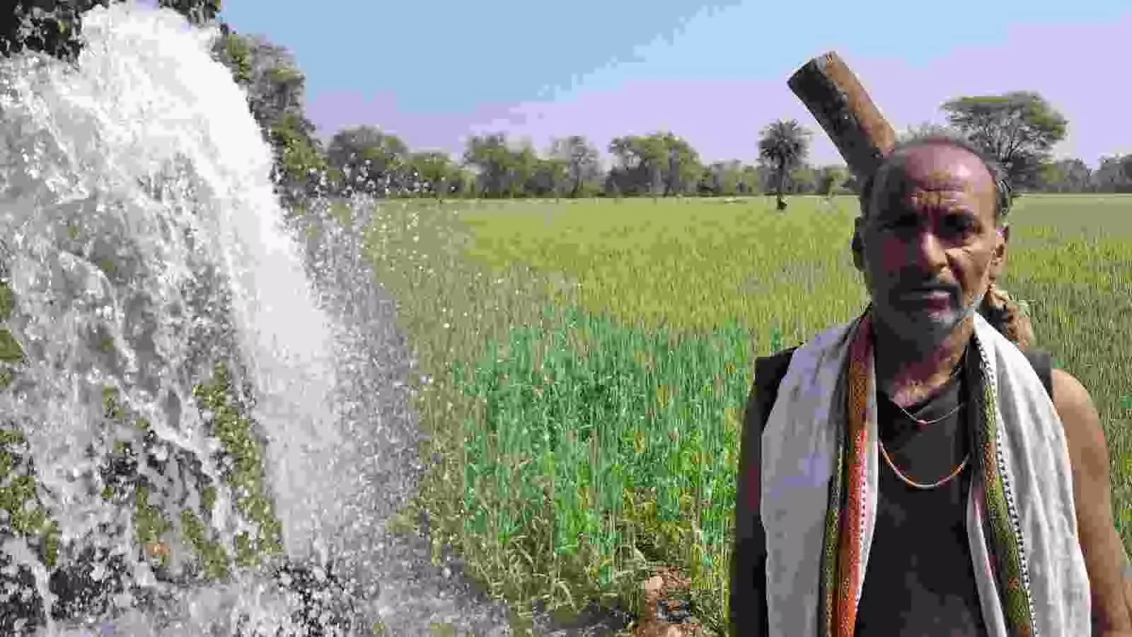 बिलिया गांव के कृषि क्षेत्र में लिफ्ट सिंचाई प्रणाली के माध्यम से पानी की पाइपलाइन और हरियाली।