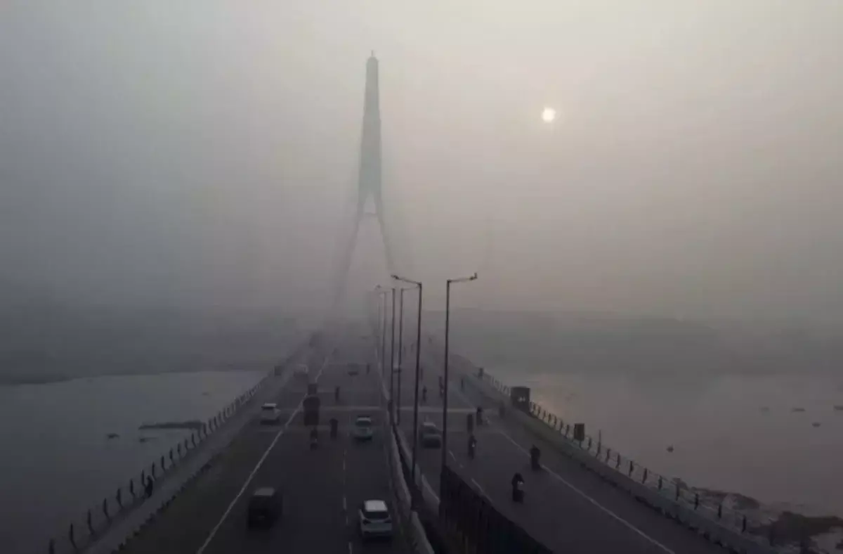 Premature summer arrives in Delhi: The pink winter season is over Premature summer arrives in Delhi: The pink winter season is over