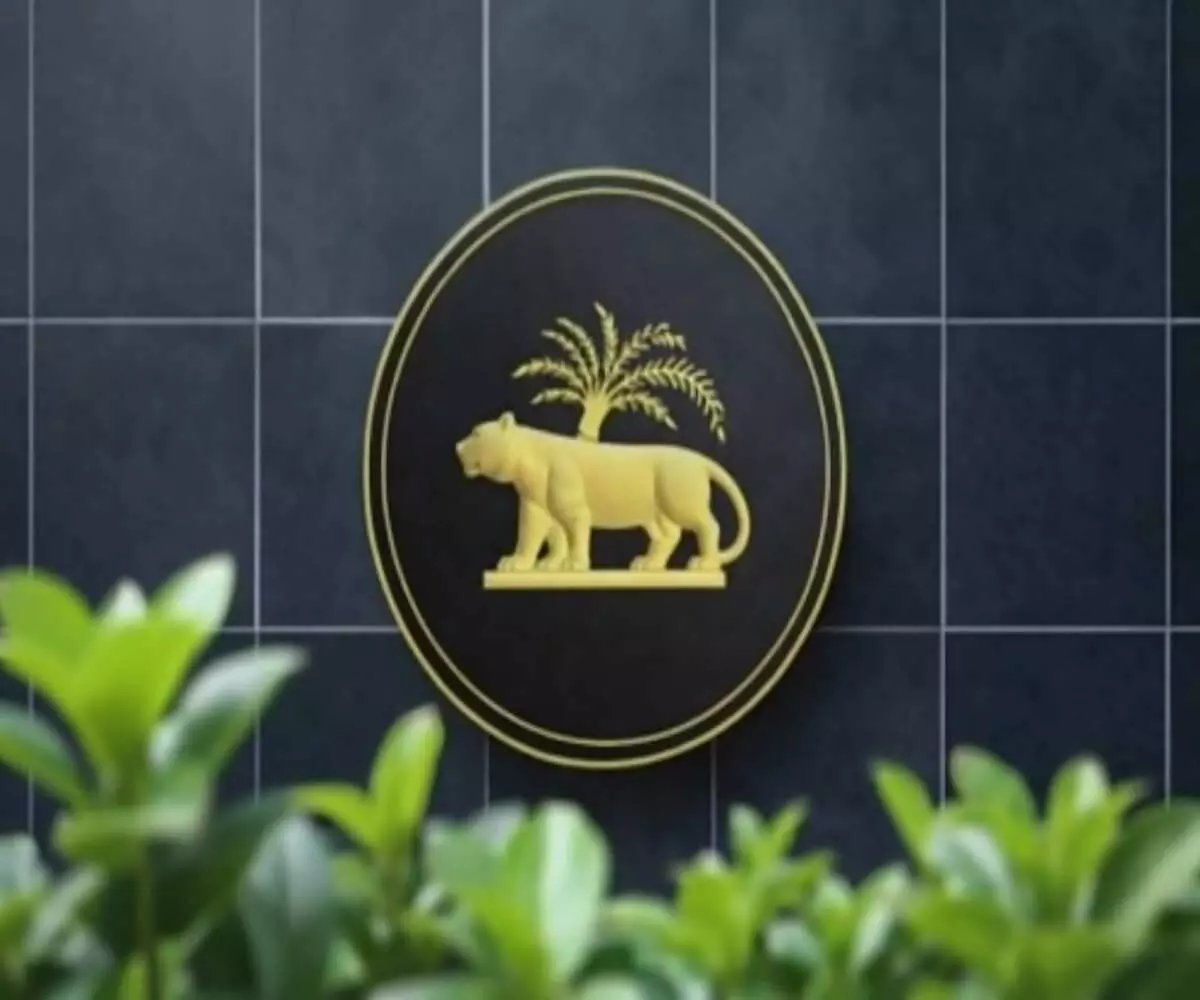 Bain Capital eyes Manappuram Finance: But Tiger Capitals stake could pose a big challenge Bain Capital eyes Manappuram Finance: But Tiger Capitals stake could pose a big challenge