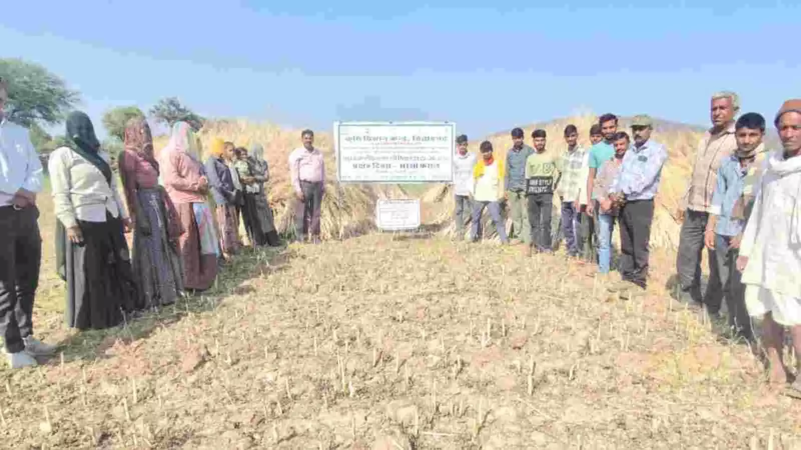 शम्भूनाथ जी का खेड़ा में सरसों की उन्नत किस्म आरएच 761 के खेत में प्रदर्शन देखते किसान। शम्भूनाथ जी का खेड़ा में सरसों की उन्नत किस्म आरएच 761 के खेत में प्रदर्शन देखते किसान।