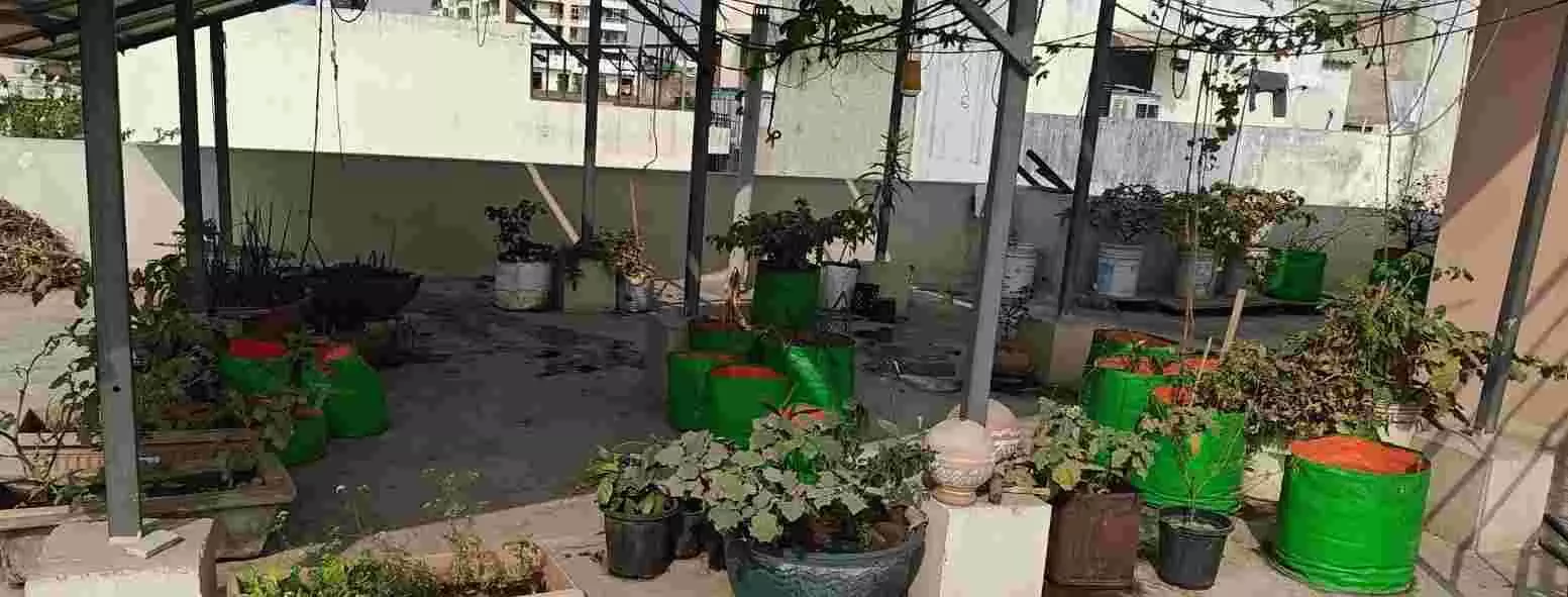 मुरलीपुरा की जमना पुरी कॉलोनी में स्वच्छता मित्र निवासियों को होम कंपोस्टिंग की विधि समझाते हुए। मुरलीपुरा की जमना पुरी कॉलोनी में स्वच्छता मित्र निवासियों को होम कंपोस्टिंग की विधि समझाते हुए।