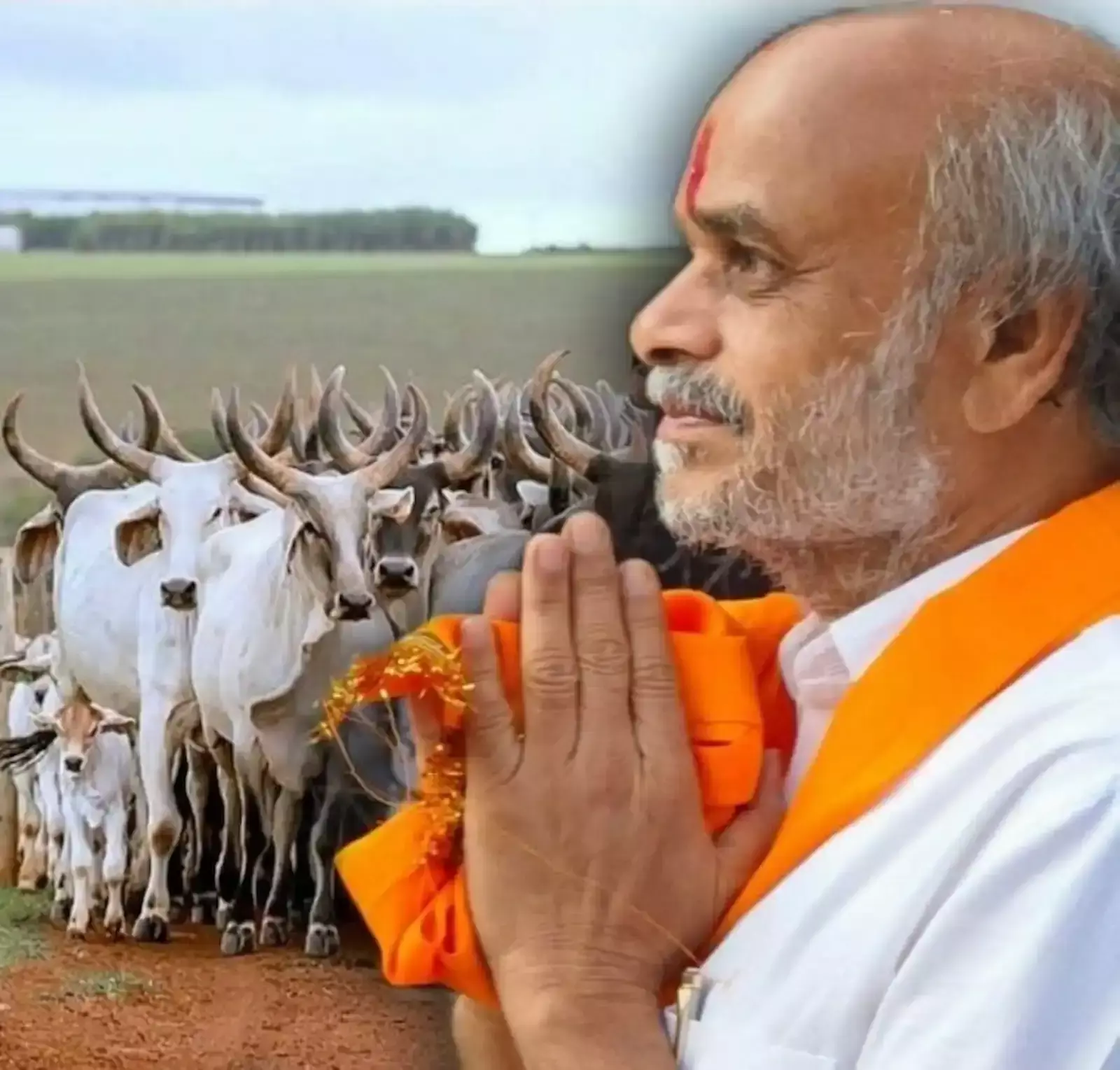 राजस्थान विधानसभा सदन के भीतर भीलवाड़ा विधायक अशोक कोठारी प्रदेश की नई चारागाह नीति पर संबोधन देते हुए। राजस्थान विधानसभा सदन के भीतर भीलवाड़ा विधायक अशोक कोठारी प्रदेश की नई चारागाह नीति पर संबोधन देते हुए।