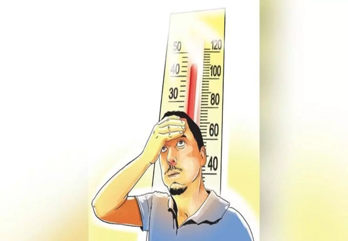 दक्षिण भारत मौसम: फरवरी के महीने में ही झुलसाने लगी गर्मी दक्षिण भारत मौसम: फरवरी के महीने में ही झुलसाने लगी गर्मी