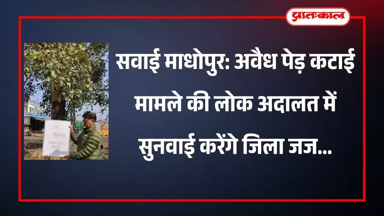 सवाई माधोपुर के मंडी रोड पर अवैध रूप से काटे गए पेड़ों के ठूंठ और जांच करती सर्वेक्षण टीम। सवाई माधोपुर के मंडी रोड पर अवैध रूप से काटे गए पेड़ों के ठूंठ और जांच करती सर्वेक्षण टीम।