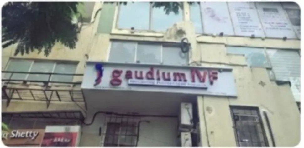 Gaudium IVF IPO में बिडिंग की मची होड़- ₹79 में मिल रहा हेल्थकेयर का भविष्य Gaudium IVF IPO में बिडिंग की मची होड़- ₹79 में मिल रहा हेल्थकेयर का भविष्य