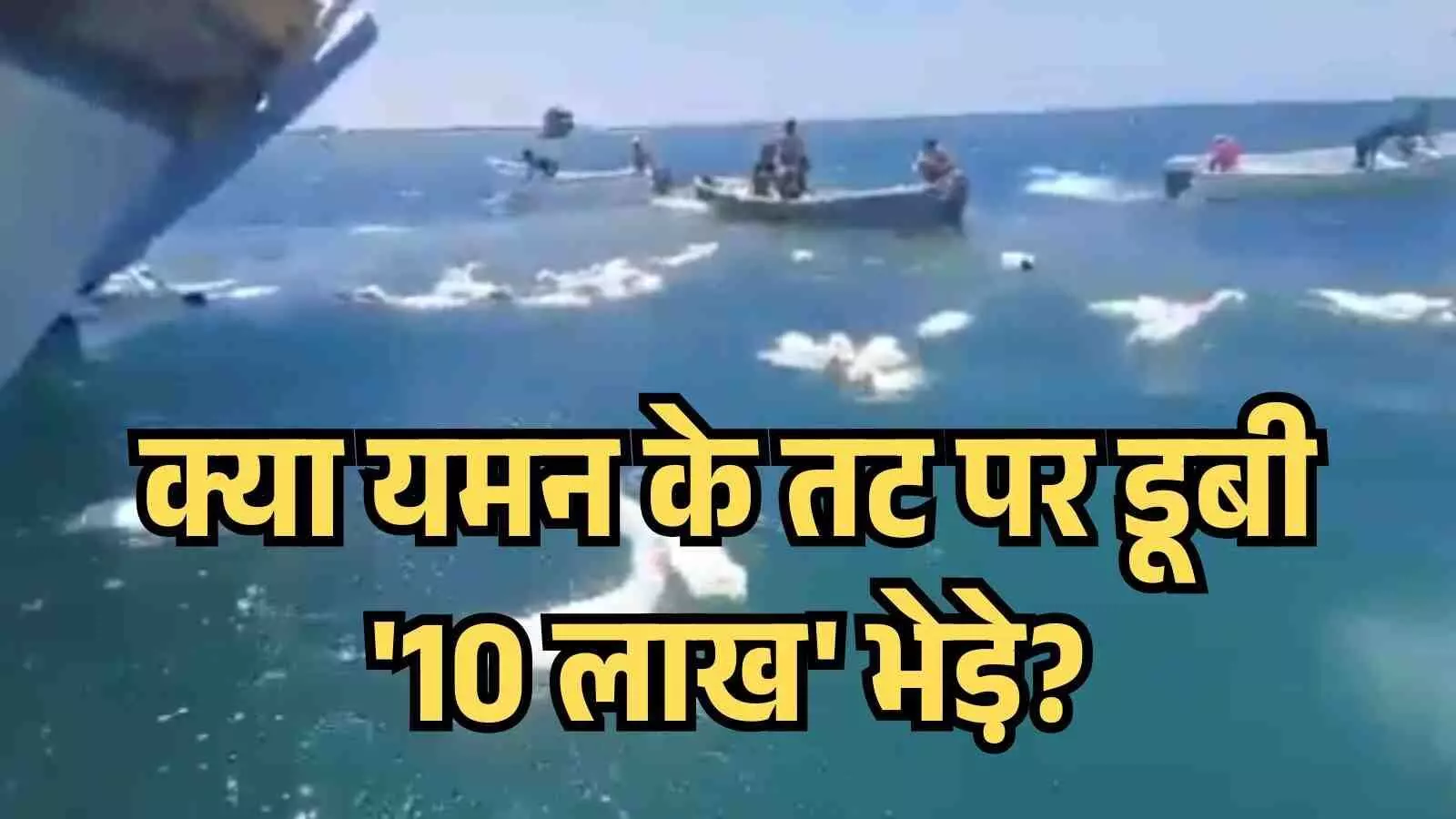 लाल सागर के दृश्य जब यमन के लोग जहाज डूबने के बाद भेड़ों को बचाने के लिए भाग-दौड़ कर रहे थे।