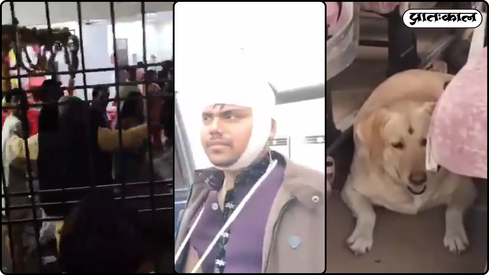 फतेहपुर में कुत्ते का अपमान होने पर दुल्हन ने शादी तोड़ दी। फतेहपुर में कुत्ते का अपमान होने पर दुल्हन ने शादी तोड़ दी।