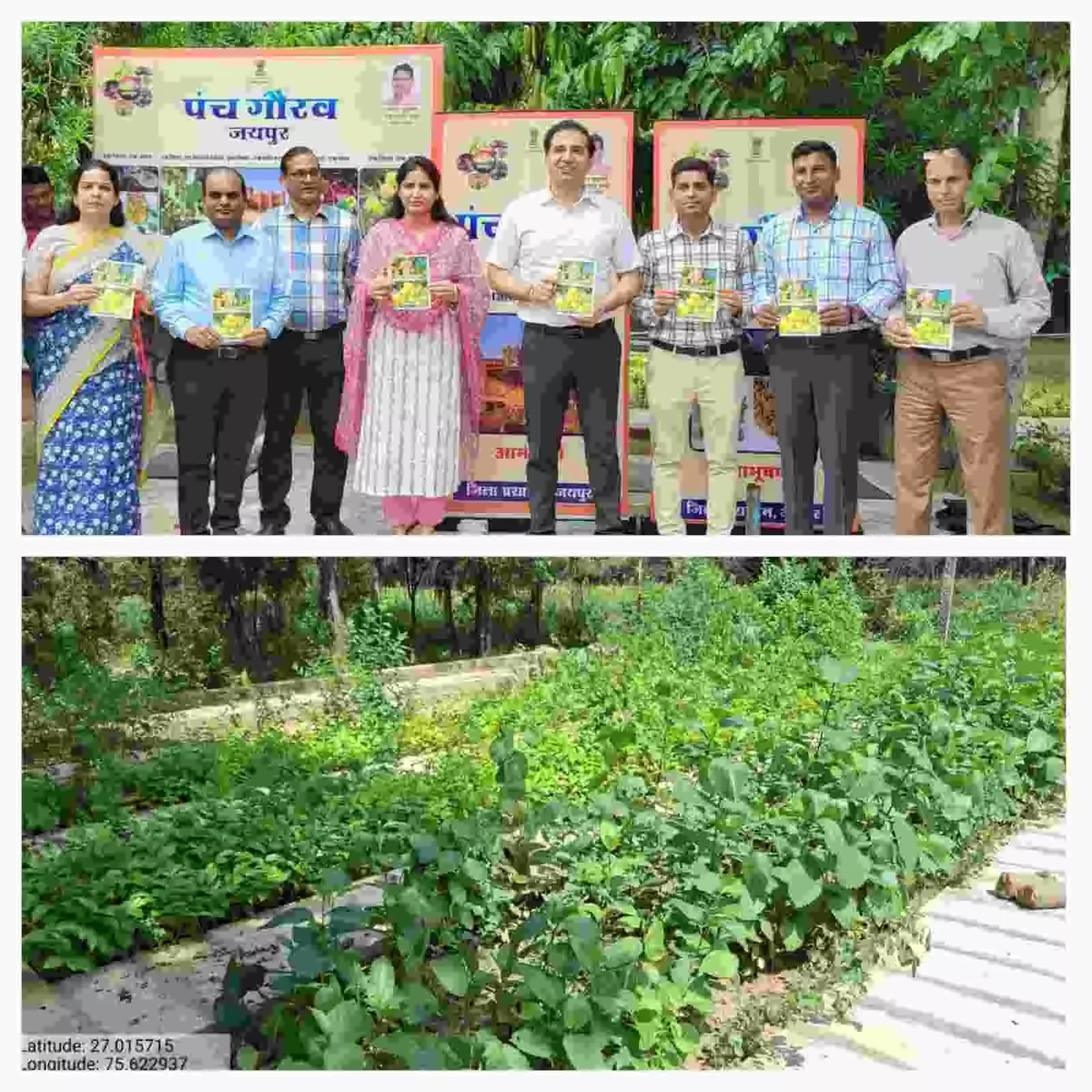 जयपुर की सरकारी नर्सरी में क्यारियों में विकसित किए गए लिसोड़ा के छोटे पौधे और उनकी सिंचाई का दृश्य। जयपुर की सरकारी नर्सरी में क्यारियों में विकसित किए गए लिसोड़ा के छोटे पौधे और उनकी सिंचाई का दृश्य।