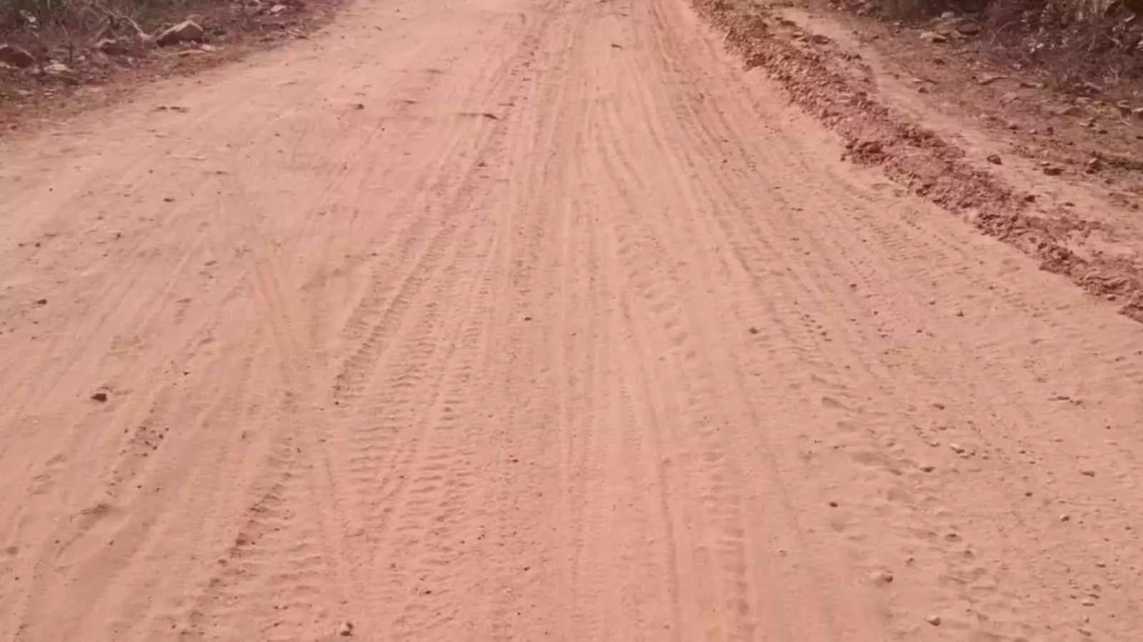 बयाना के तरबीजपुर गांव में टूटी हुई सड़क पर चलते ग्रामीण और बुनियादी समस्याओं का दृश्य। बयाना के तरबीजपुर गांव में टूटी हुई सड़क पर चलते ग्रामीण और बुनियादी समस्याओं का दृश्य।