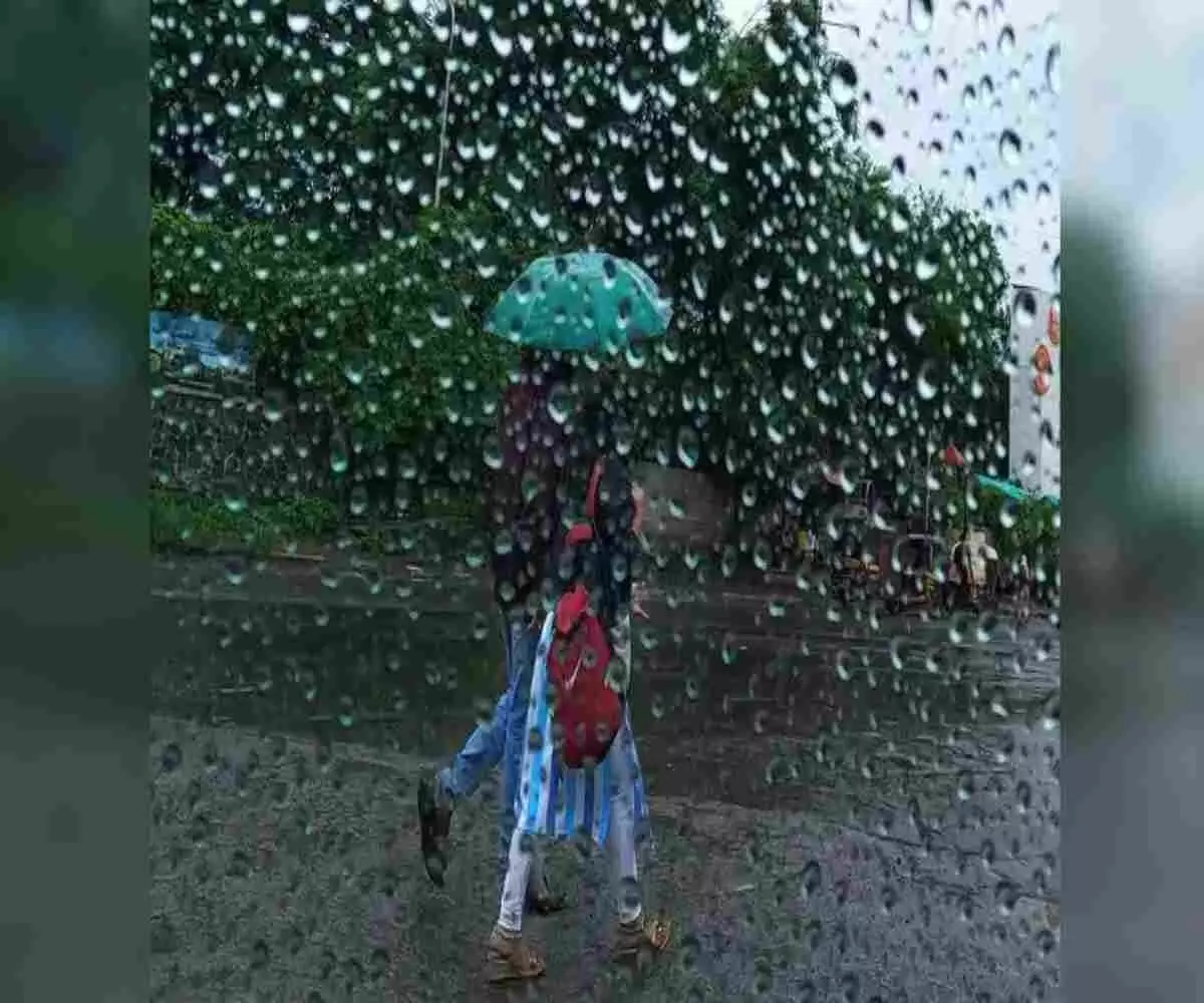 दक्षिण भारत में बादलों का डेरा: तमिलनाडु और केरल के इन जिलों में बारिश का अलर्ट जारी! दक्षिण भारत में बादलों का डेरा: तमिलनाडु और केरल के इन जिलों में बारिश का अलर्ट जारी!