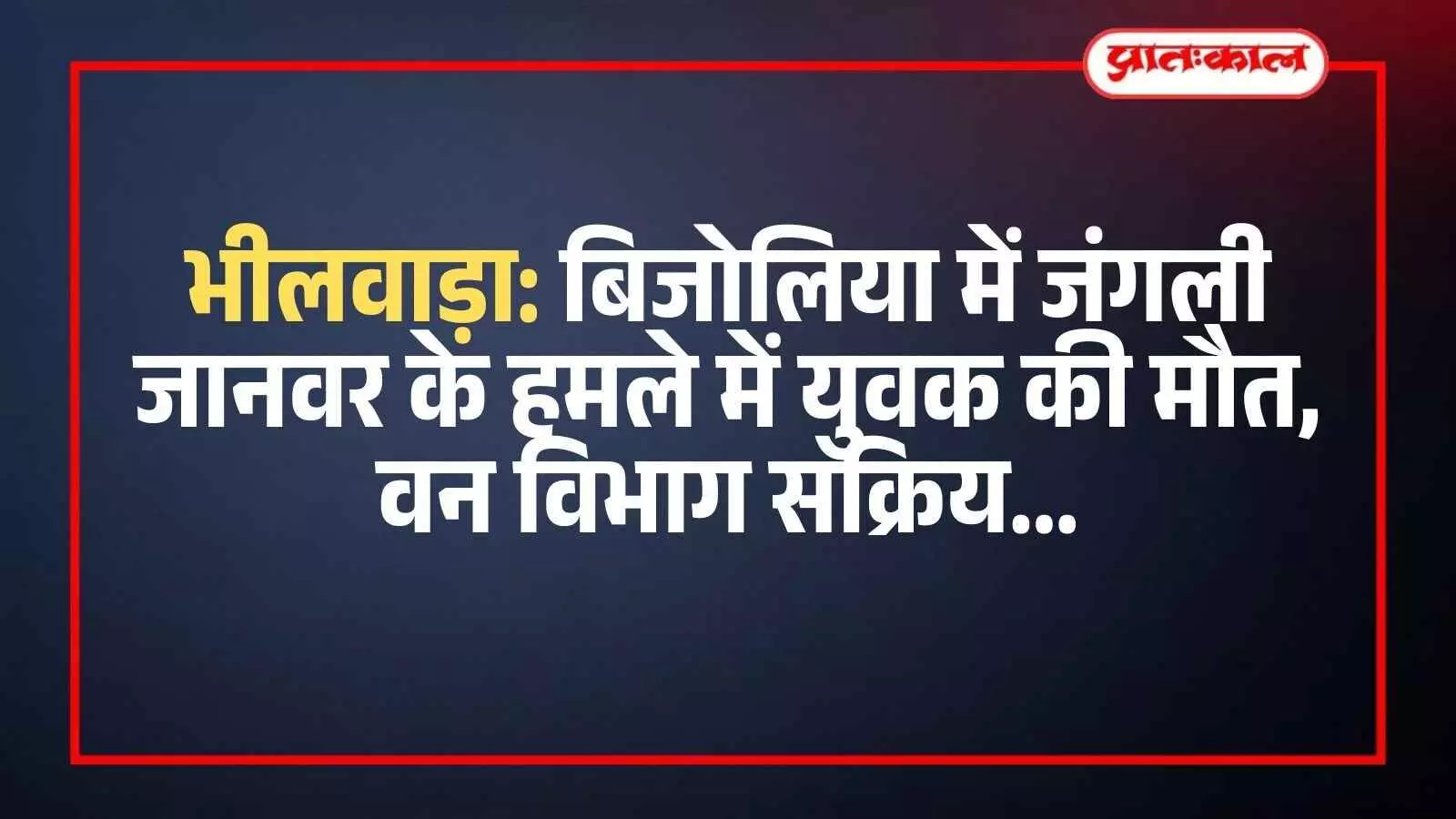 भीलवाड़ा के बिजोलिया में घटनास्थल पर मौजूद पुलिस और जांच करती वन विभाग की टीम।