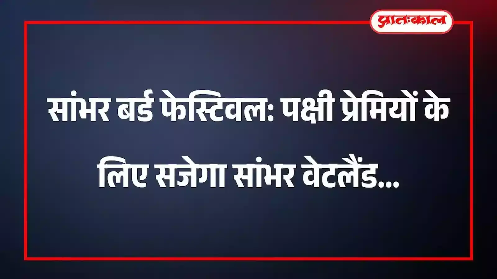 सांभर बर्ड फेस्टिवल: पक्षी प्रेमियों के लिए सजेगा सांभर वेटलैंड सांभर बर्ड फेस्टिवल: पक्षी प्रेमियों के लिए सजेगा सांभर वेटलैंड