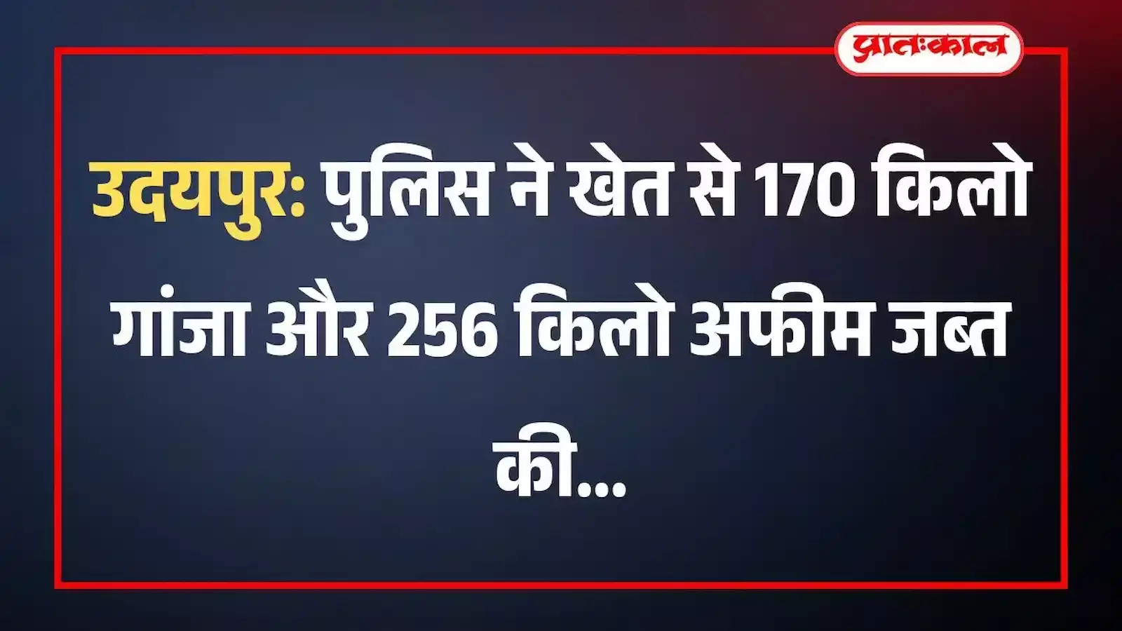 उदयपुर पुलिस ने खेत से 170 किलो गांजा और 256 किलो अफीम जब्त की उदयपुर पुलिस ने खेत से 170 किलो गांजा और 256 किलो अफीम जब्त की