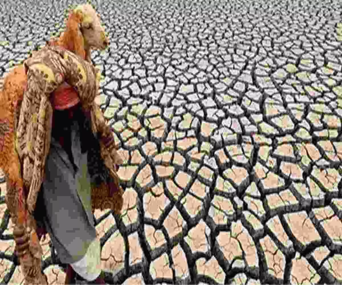 WMO की बड़ी चेतावनी- कमजोर ला नीना से बिगड़ सकता है मौसम का गणित WMO की बड़ी चेतावनी- कमजोर ला नीना से बिगड़ सकता है मौसम का गणित