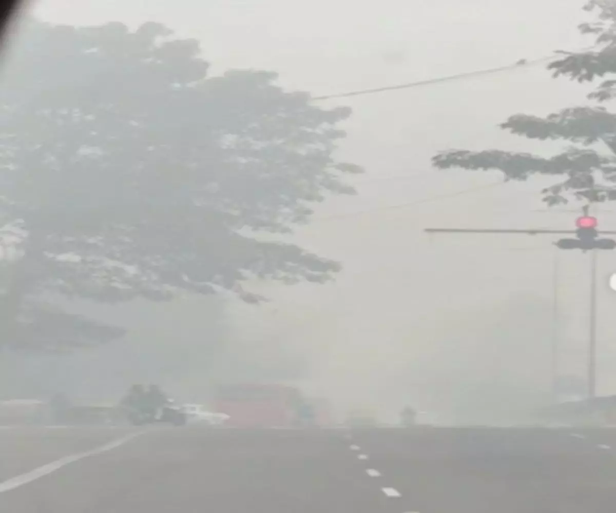 धुंध की चादर में लिपटी राजधानी- 185 के पार पहुंचा आज का AQI धुंध की चादर में लिपटी राजधानी- 185 के पार पहुंचा आज का AQI