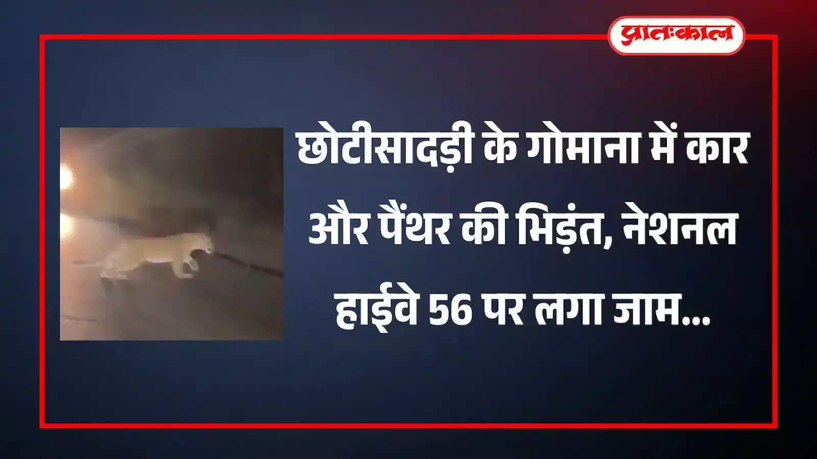 छोटीसादड़ी के गोमाना में नेशनल हाईवे पर कार की टक्कर के बाद सड़क पर बैठा पैंथर और ग्रामीण। छोटीसादड़ी के गोमाना में नेशनल हाईवे पर कार की टक्कर के बाद सड़क पर बैठा पैंथर और ग्रामीण।