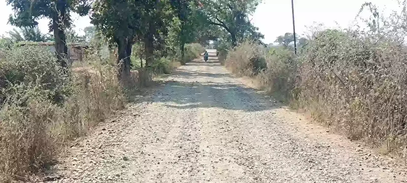 पिपर्डा गांव की जर्जर और उखड़ी हुई सड़क जिस पर बड़े गड्ढे और पत्थर दिखाई दे रहे हैं।