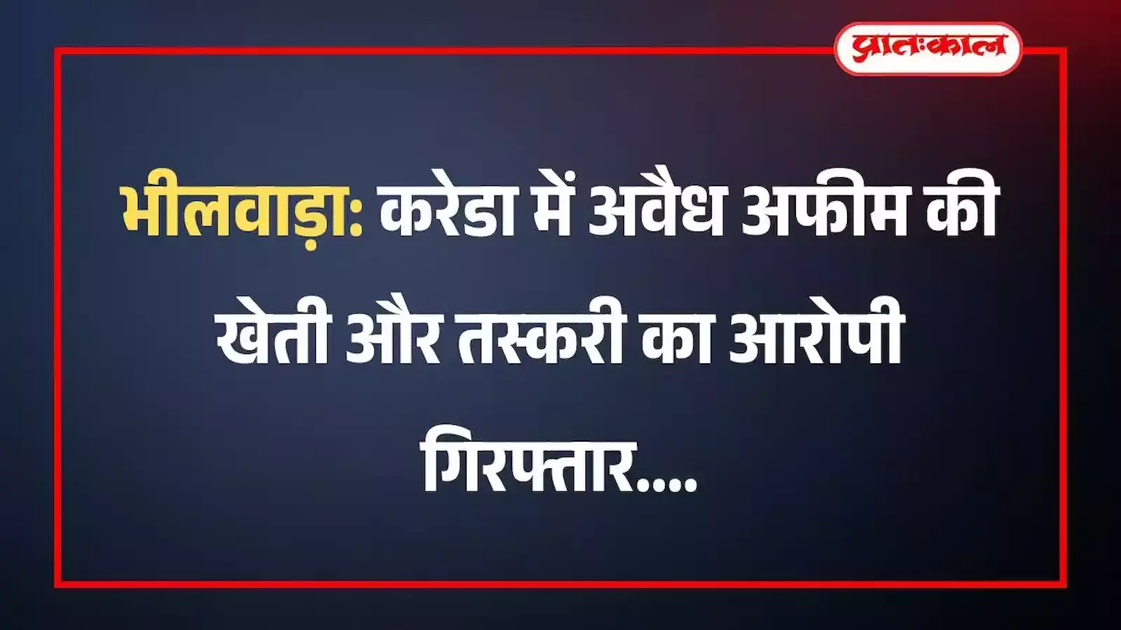 भीलवाड़ा: करेडा में अवैध अफीम की खेती और तस्करी का आरोपी गिरफ्तार भीलवाड़ा: करेडा में अवैध अफीम की खेती और तस्करी का आरोपी गिरफ्तार