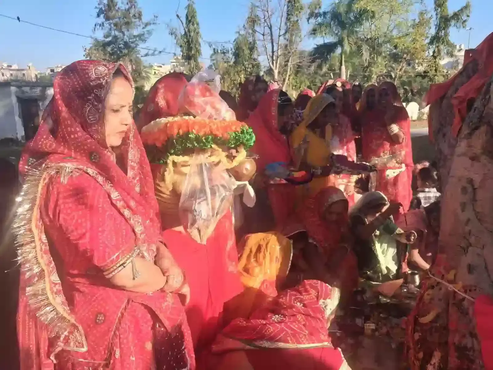 लसाडिया के मंदिर परिसर में महिलाएं पीपल के पेड़ की पूजा और परिक्रमा कर रही हैं। लसाडिया के मंदिर परिसर में महिलाएं पीपल के पेड़ की पूजा और परिक्रमा कर रही हैं।