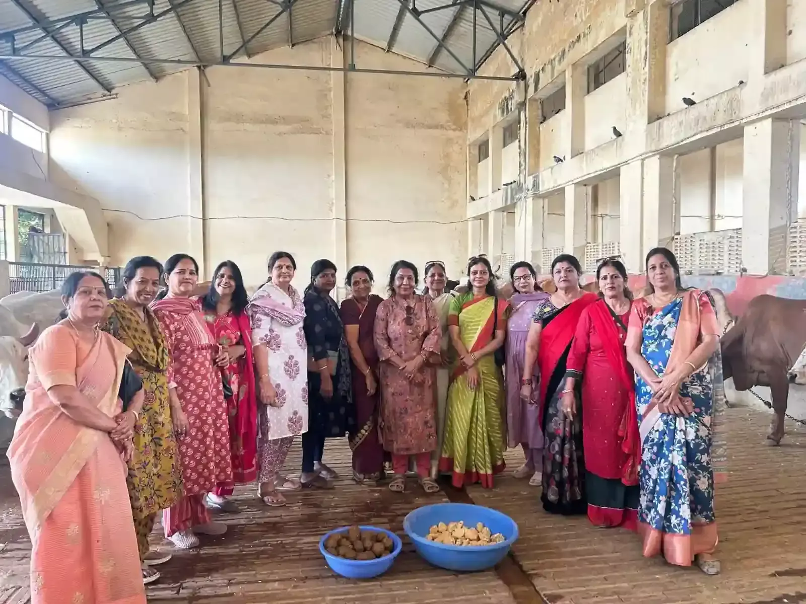 भीलवाड़ा की माधव गौशाला में जैन दिवाकर महिला मंडल की महिलाएं गायों को गुड़ और लापसी खिला रही हैं। भीलवाड़ा की माधव गौशाला में जैन दिवाकर महिला मंडल की महिलाएं गायों को गुड़ और लापसी खिला रही हैं।