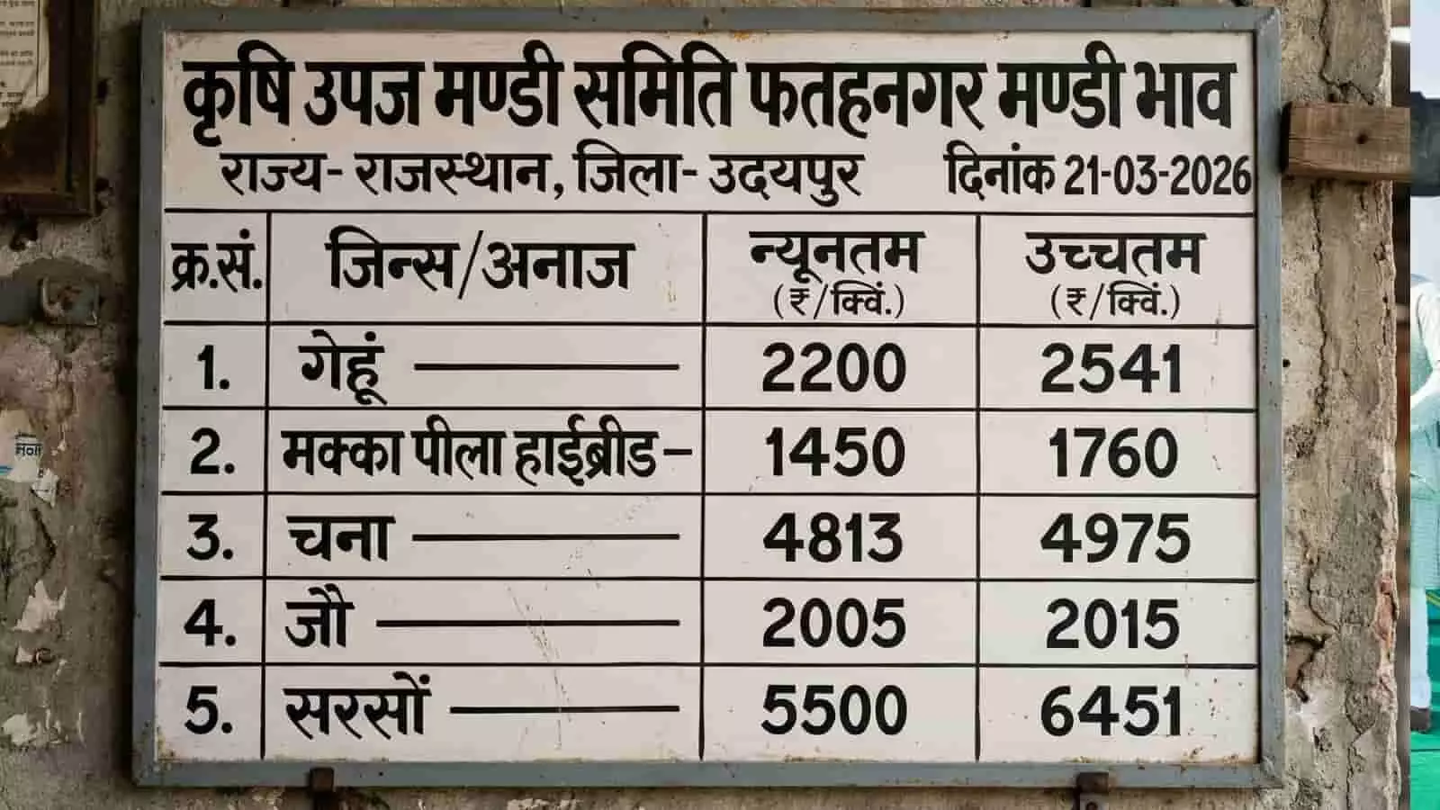 फतहनगर मंडी भाव: गेहूं, सरसों और चने की कीमतों में उतार-चढ़ाव, देखें आज की रेट लिस्ट