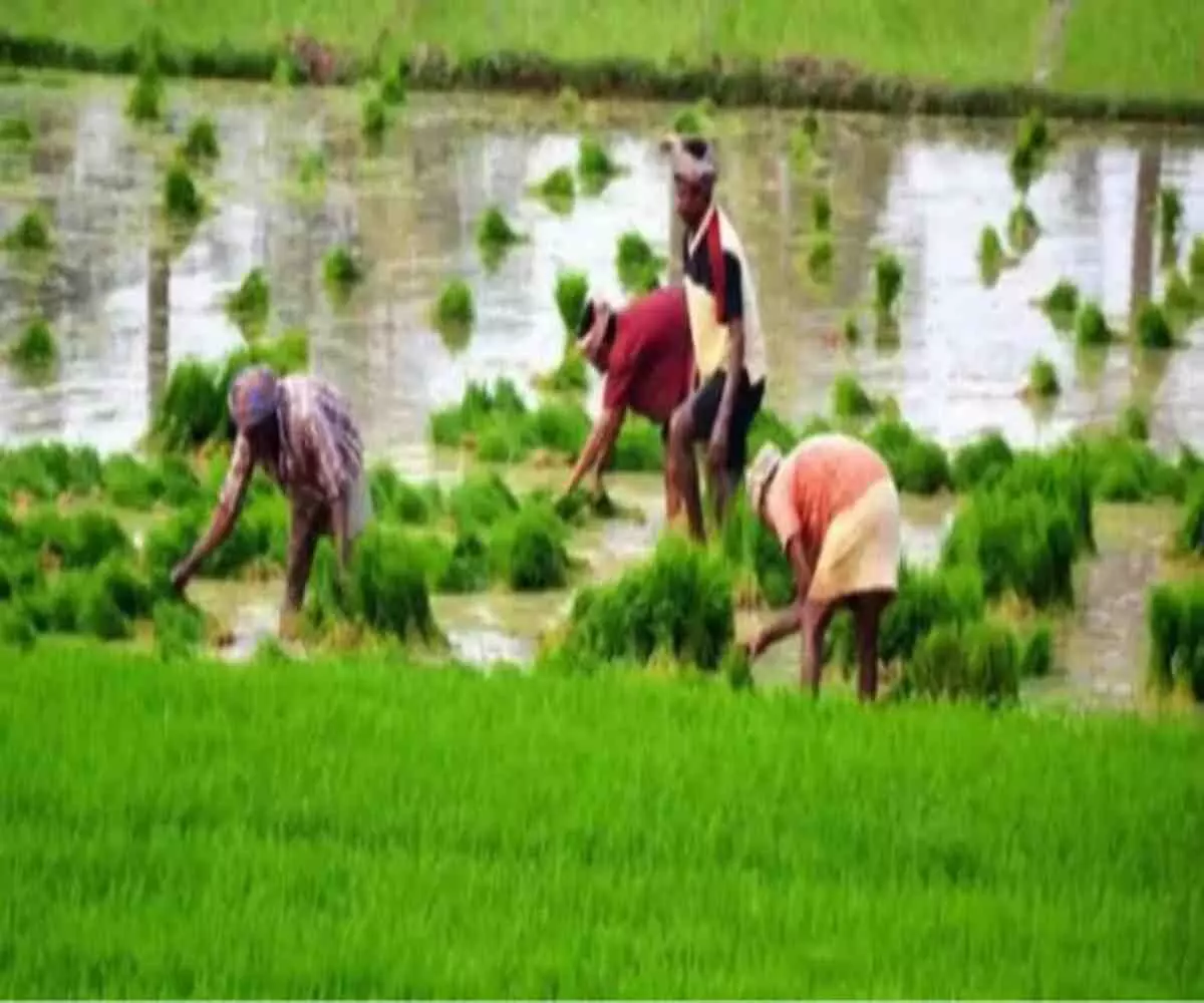 ज़हरीली हवा से बनेगा सोना- प्रदूषण से खाद बनाने का क्रांतिकारी फॉर्मूला- खत्म होगी विदेशों पर निर्भरता