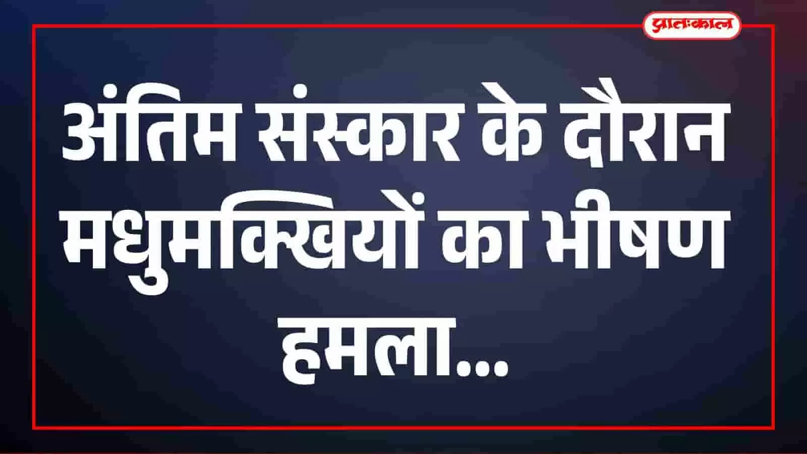 भीलवाड़ा के सहाड़ा शमशान घाट में मधुमक्खियों के हमले के बाद घायल हुए ग्रामीण अस्पताल में भर्ती। भीलवाड़ा के सहाड़ा शमशान घाट में मधुमक्खियों के हमले के बाद घायल हुए ग्रामीण अस्पताल में भर्ती।