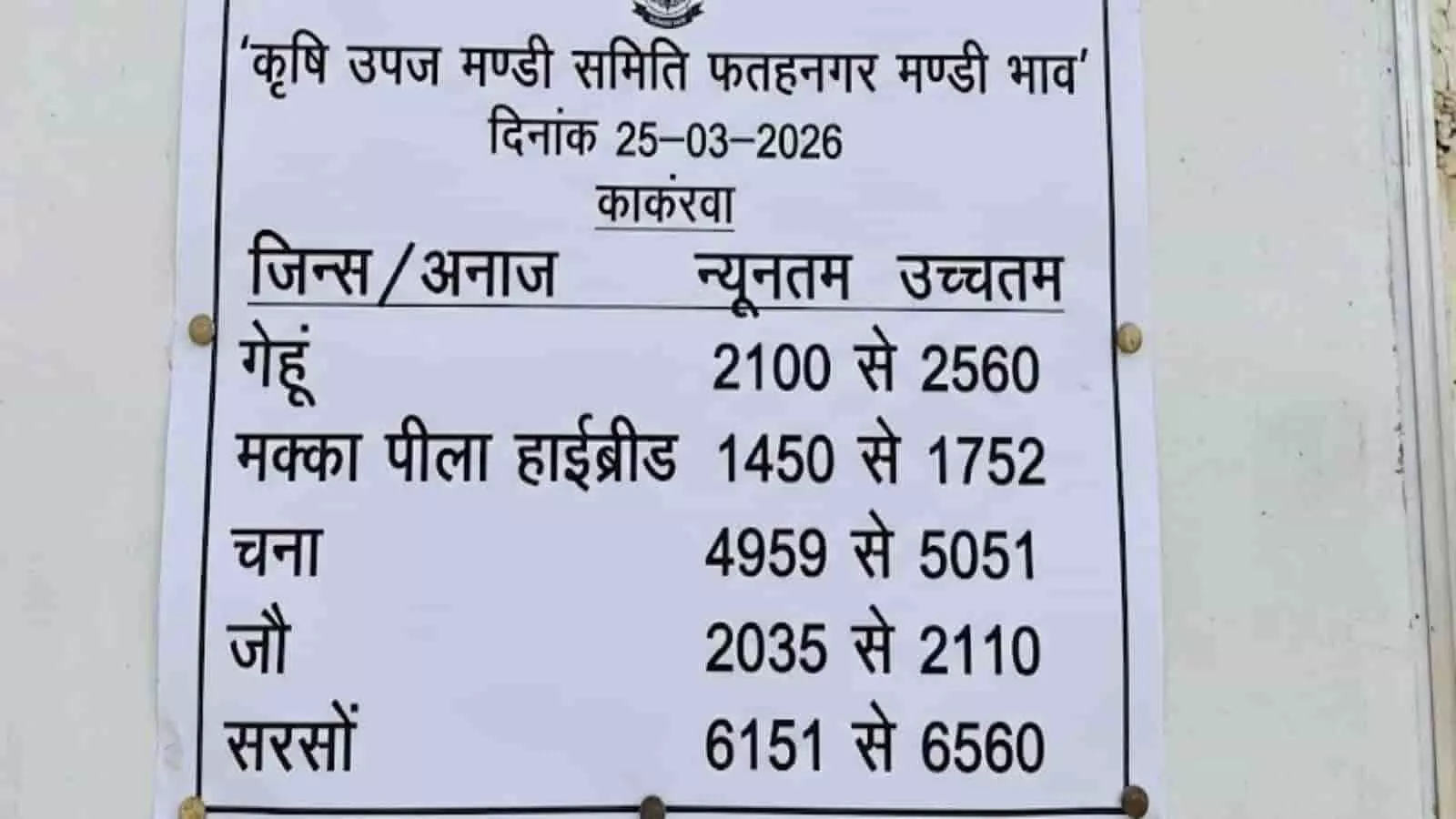 फतहनगर मंडी भाव: गेहूं, मक्का और सरसों के दाम में बदलाव, कल रहेगा अवकाश फतहनगर मंडी भाव: गेहूं, मक्का और सरसों के दाम में बदलाव, कल रहेगा अवकाश