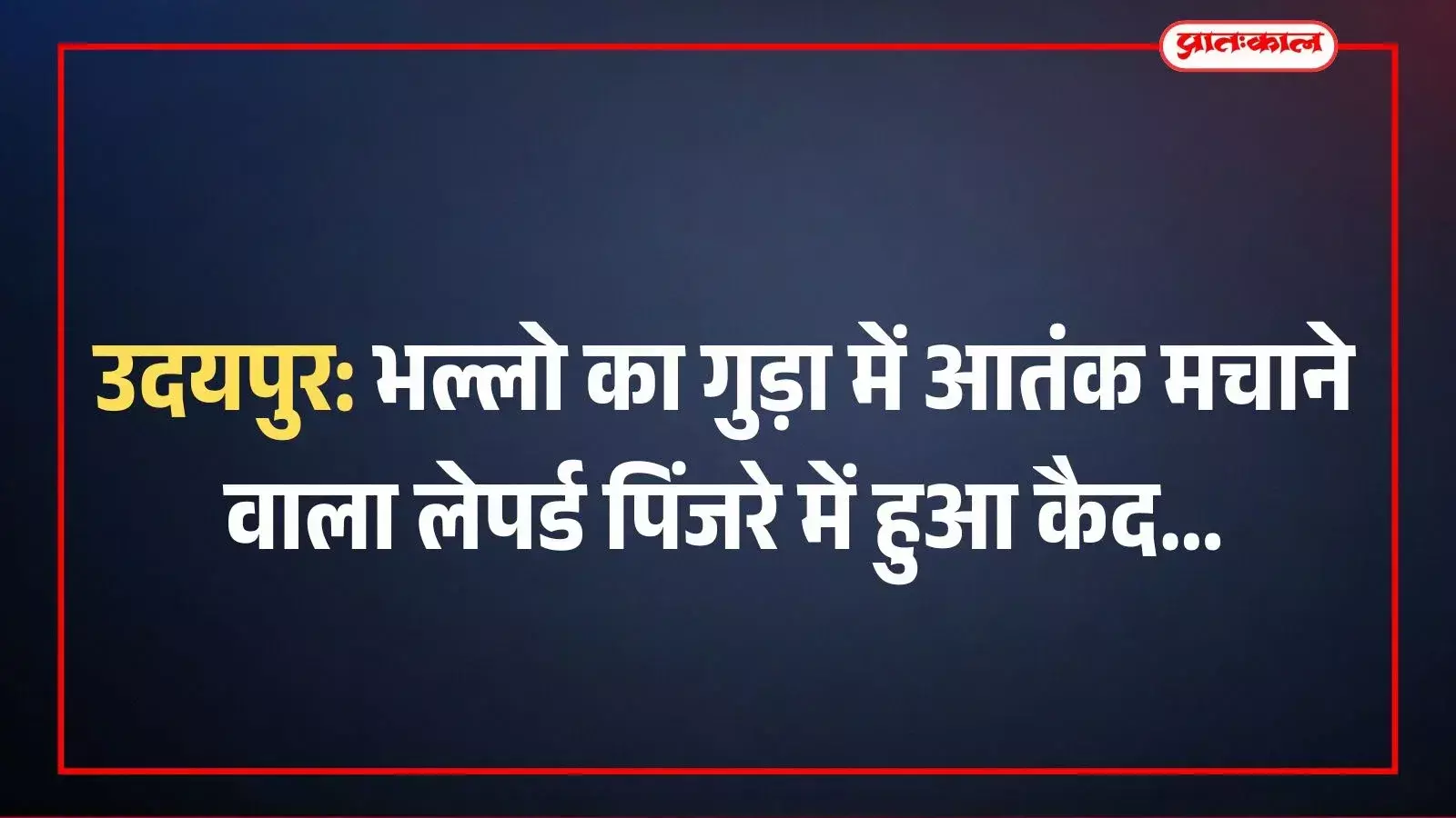 उदयपुर: भल्लो का गुड़ा में आतंक मचाने वाला लेपर्ड पिंजरे में हुआ कैद